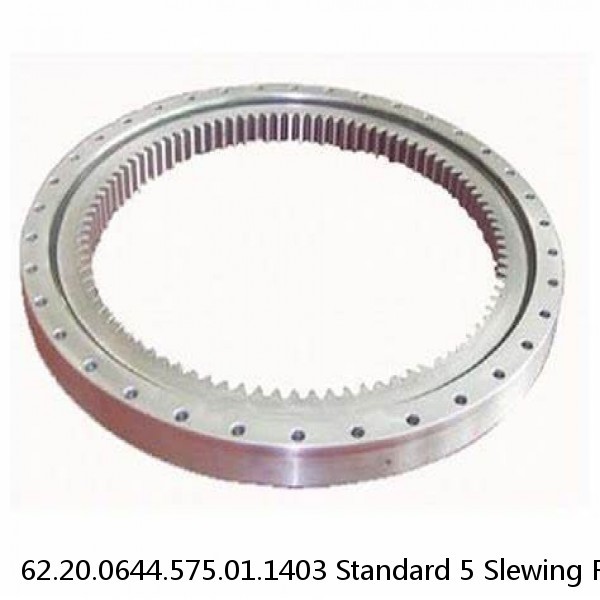 62.20.0644.575.01.1403 Standard 5 Slewing Ring Bearings