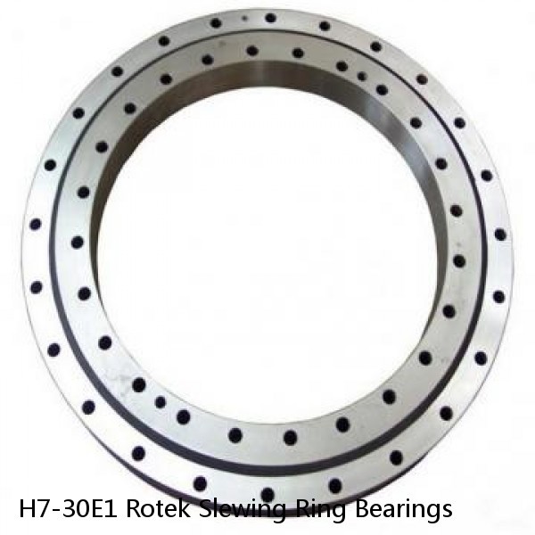 H7-30E1 Rotek Slewing Ring Bearings