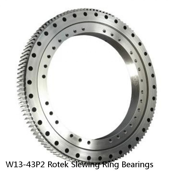 W13-43P2 Rotek Slewing Ring Bearings