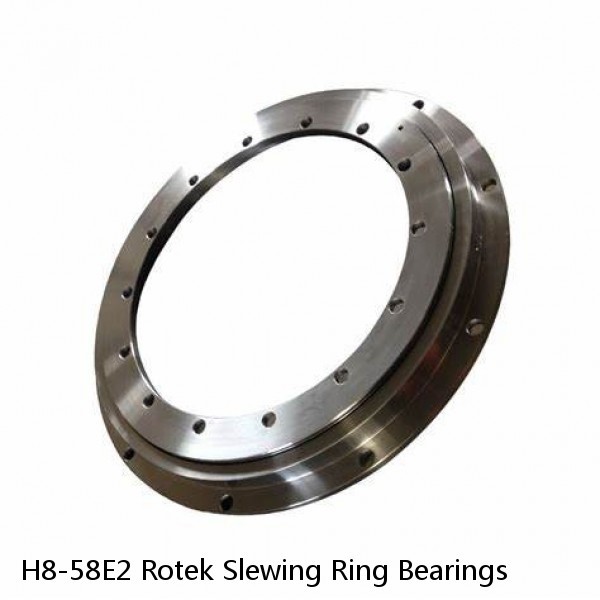 H8-58E2 Rotek Slewing Ring Bearings