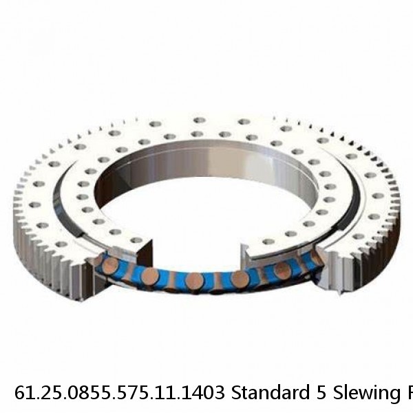 61.25.0855.575.11.1403 Standard 5 Slewing Ring Bearings