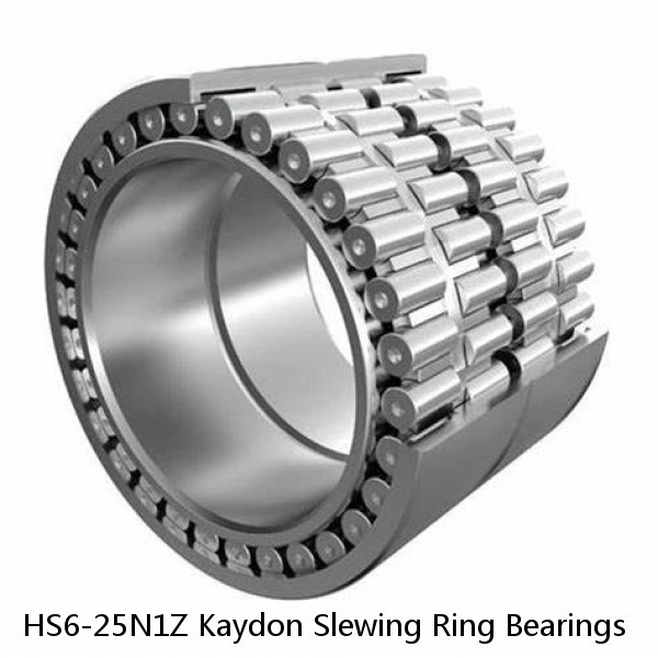 HS6-25N1Z Kaydon Slewing Ring Bearings