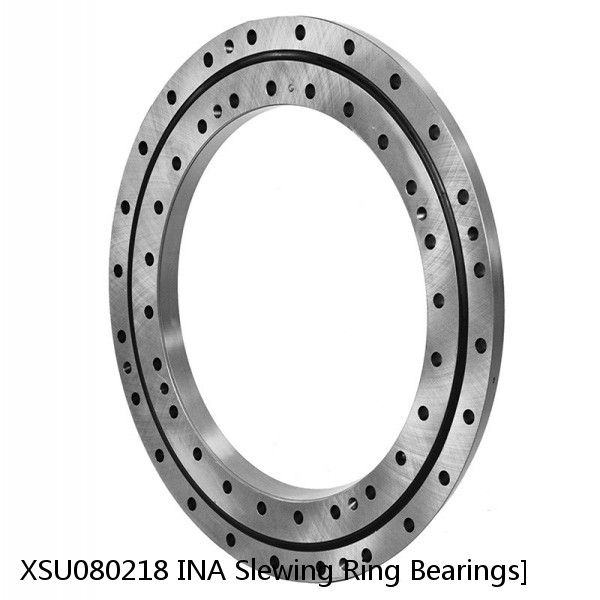 XSU080218 INA Slewing Ring Bearings