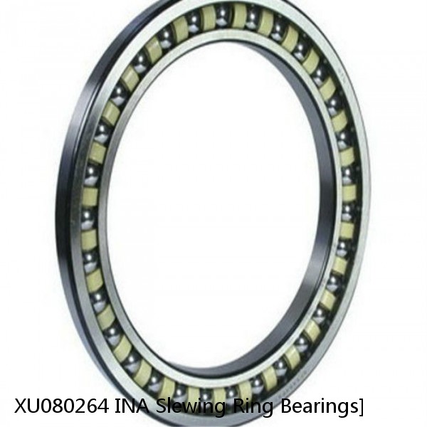 XU080264 INA Slewing Ring Bearings