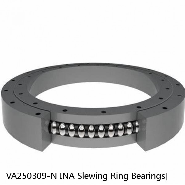 VA250309-N INA Slewing Ring Bearings