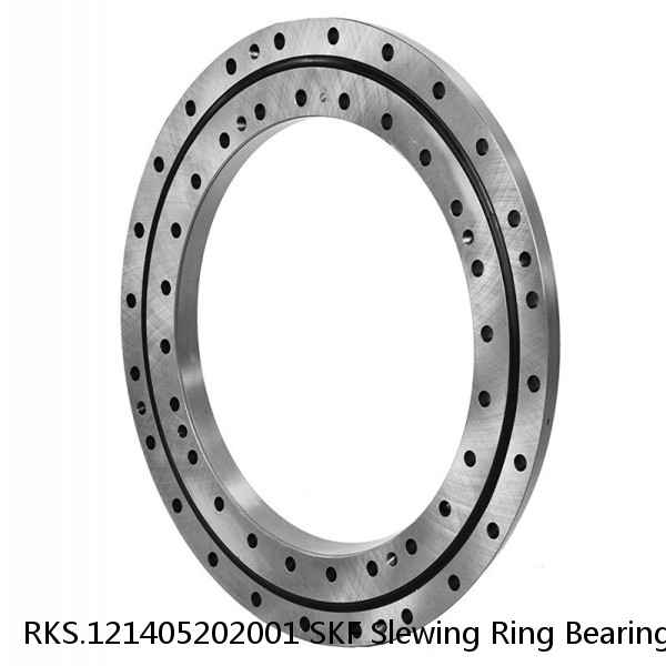 RKS.121405202001 SKF Slewing Ring Bearings