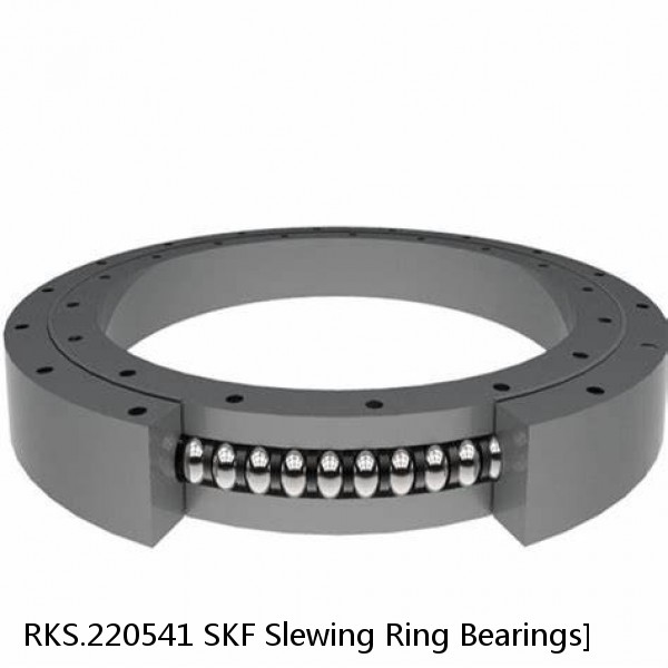 RKS.220541 SKF Slewing Ring Bearings