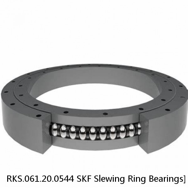 RKS.061.20.0544 SKF Slewing Ring Bearings