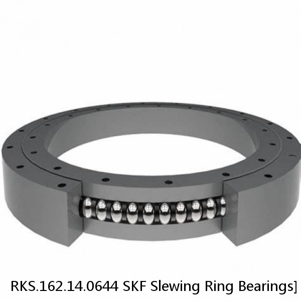 RKS.162.14.0644 SKF Slewing Ring Bearings