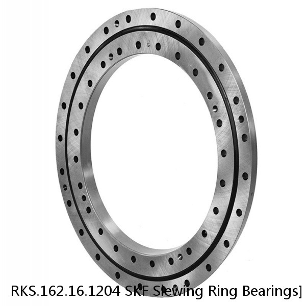 RKS.162.16.1204 SKF Slewing Ring Bearings