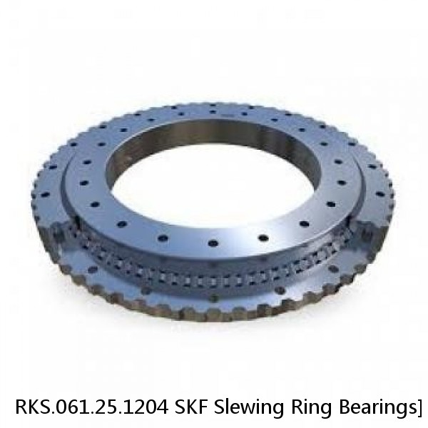 RKS.061.25.1204 SKF Slewing Ring Bearings