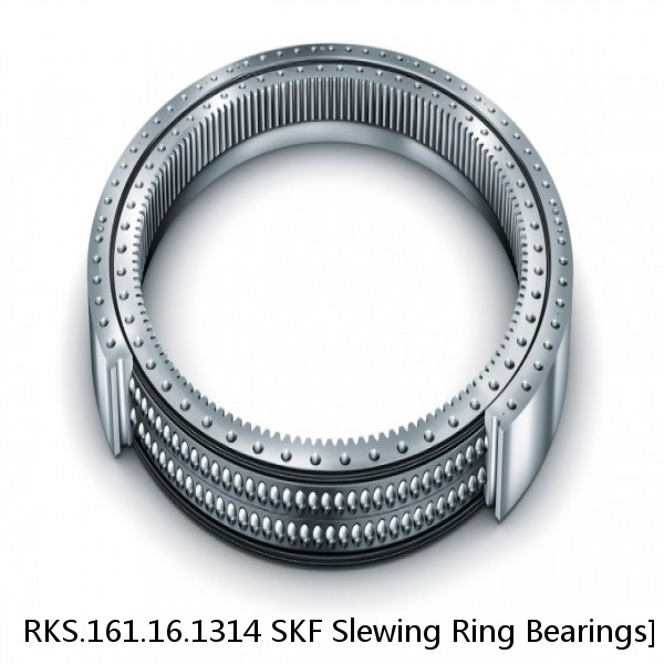 RKS.161.16.1314 SKF Slewing Ring Bearings