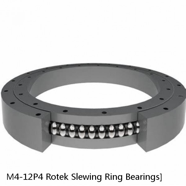 M4-12P4 Rotek Slewing Ring Bearings