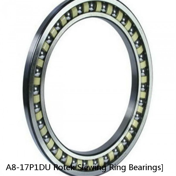 A8-17P1DU Rotek Slewing Ring Bearings