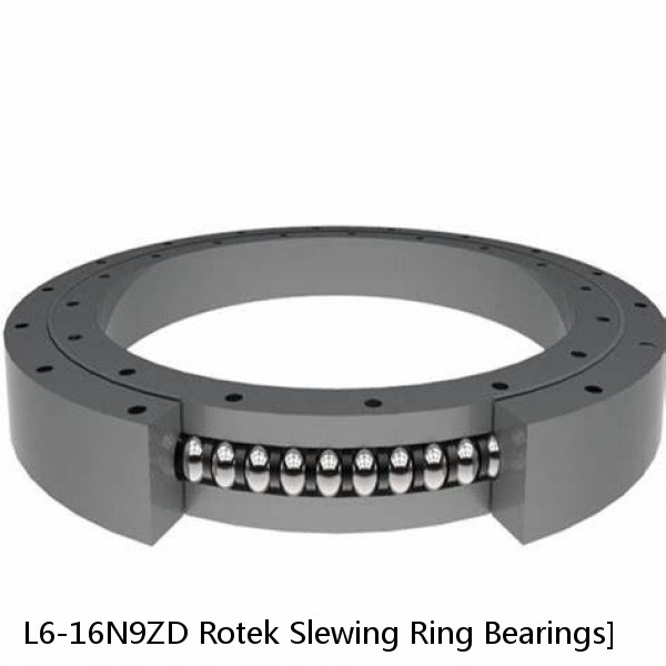 L6-16N9ZD Rotek Slewing Ring Bearings