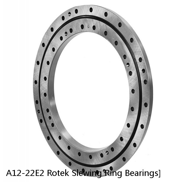 A12-22E2 Rotek Slewing Ring Bearings