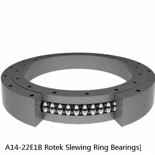 A14-22E1B Rotek Slewing Ring Bearings