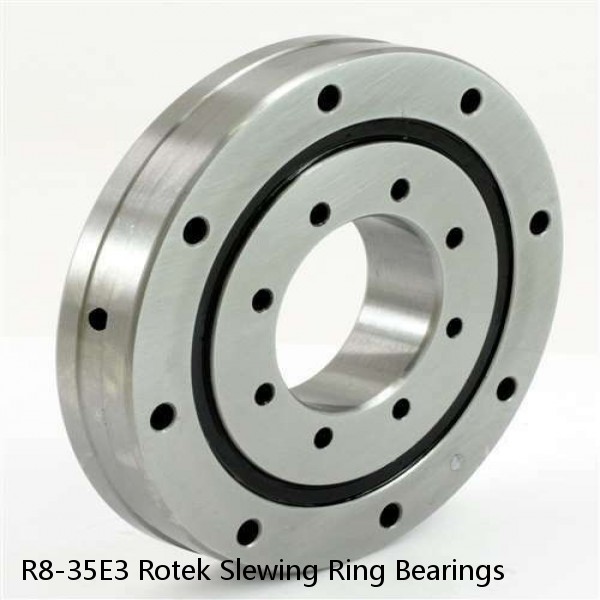 R8-35E3 Rotek Slewing Ring Bearings