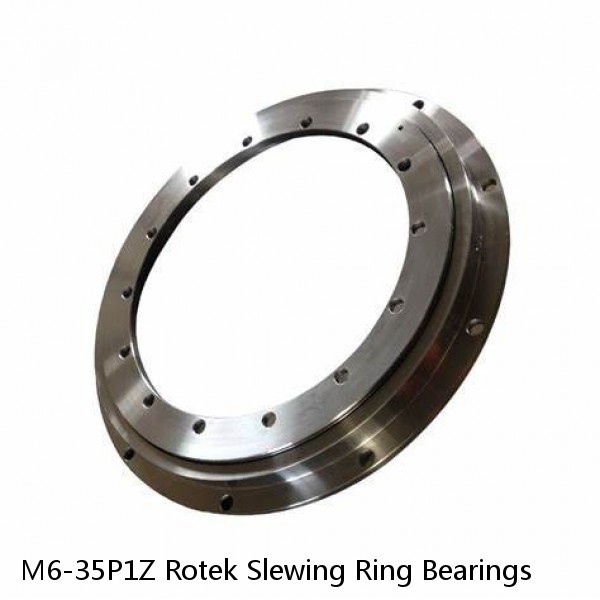 M6-35P1Z Rotek Slewing Ring Bearings