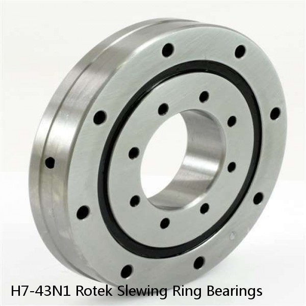 H7-43N1 Rotek Slewing Ring Bearings