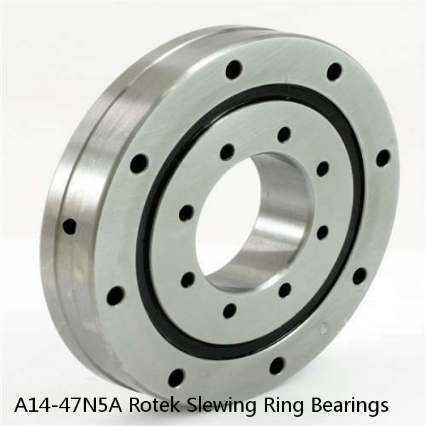 A14-47N5A Rotek Slewing Ring Bearings