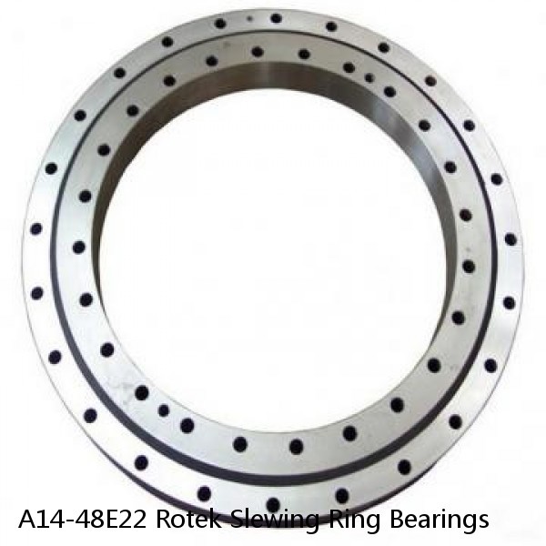 A14-48E22 Rotek Slewing Ring Bearings