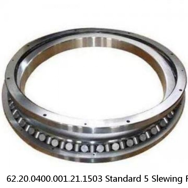 62.20.0400.001.21.1503 Standard 5 Slewing Ring Bearings