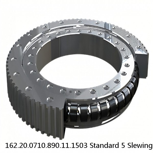 162.20.0710.890.11.1503 Standard 5 Slewing Ring Bearings