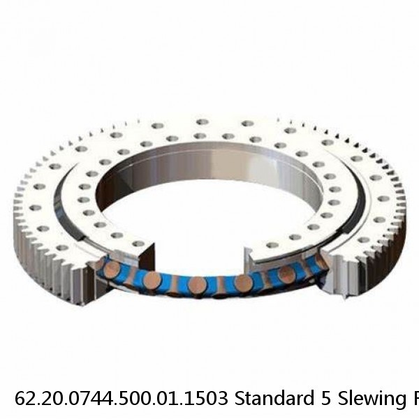 62.20.0744.500.01.1503 Standard 5 Slewing Ring Bearings