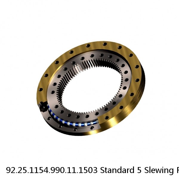 92.25.1154.990.11.1503 Standard 5 Slewing Ring Bearings