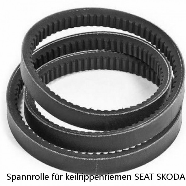 Spannrolle für keilrippenriemen SEAT SKODA VW FOX POLO 1.2/1.2 16V