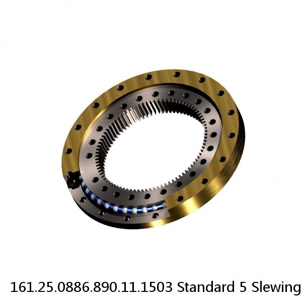 161.25.0886.890.11.1503 Standard 5 Slewing Ring Bearings