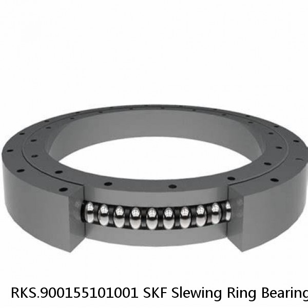 RKS.900155101001 SKF Slewing Ring Bearings