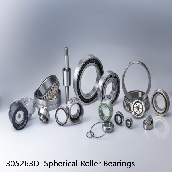 305263D Spherical Roller Bearings