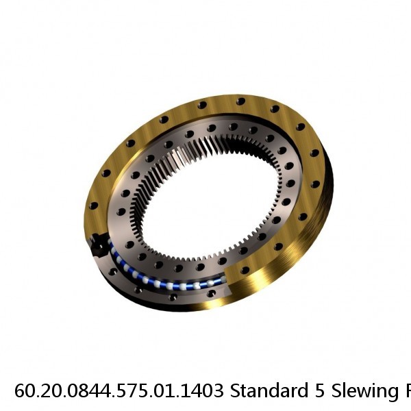 60.20.0844.575.01.1403 Standard 5 Slewing Ring Bearings