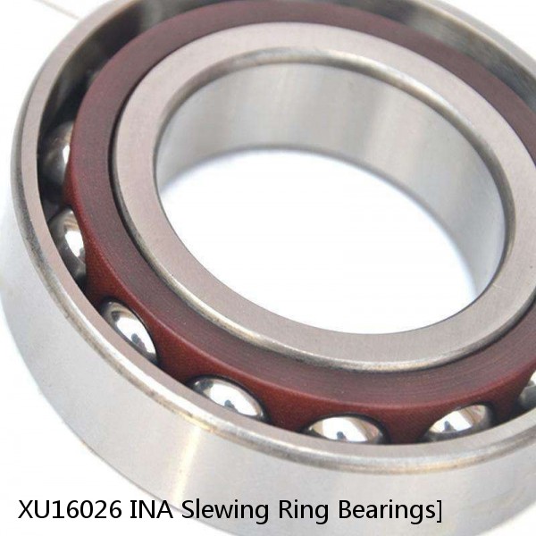 XU16026 INA Slewing Ring Bearings