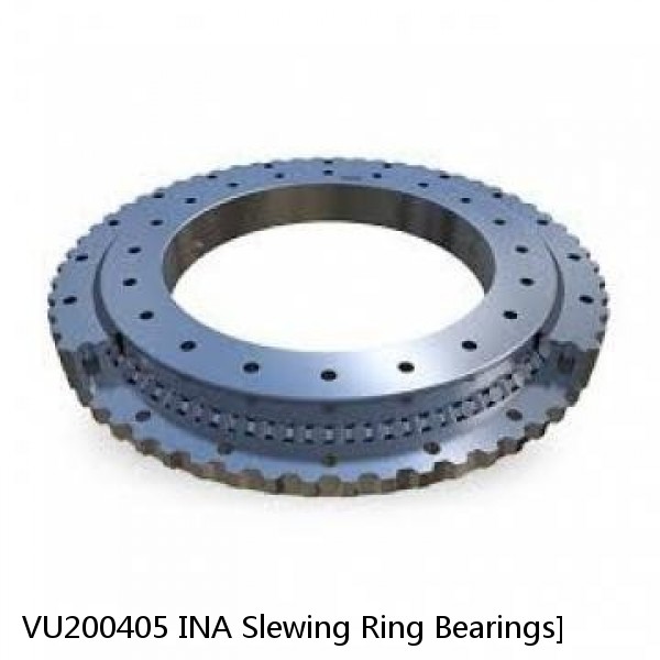 VU200405 INA Slewing Ring Bearings