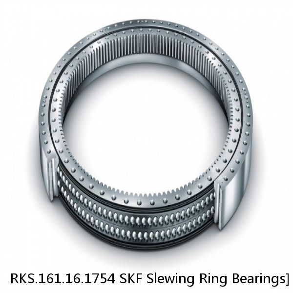 RKS.161.16.1754 SKF Slewing Ring Bearings