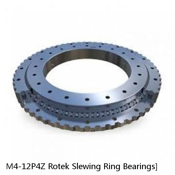 M4-12P4Z Rotek Slewing Ring Bearings