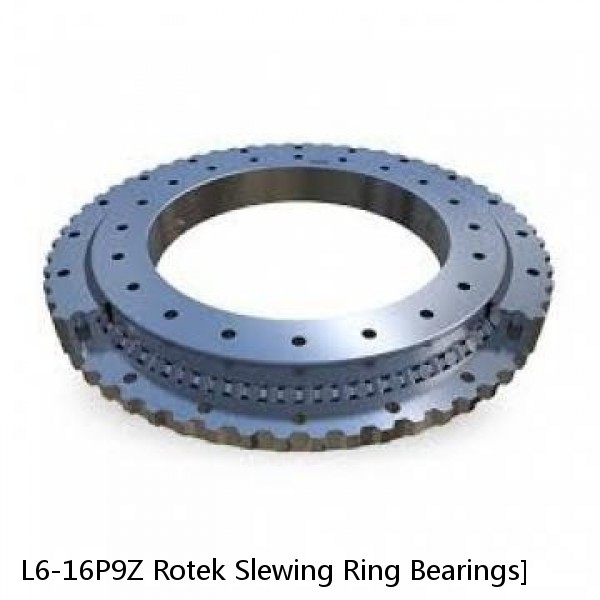 L6-16P9Z Rotek Slewing Ring Bearings