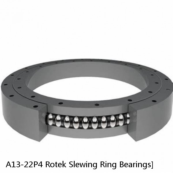 A13-22P4 Rotek Slewing Ring Bearings