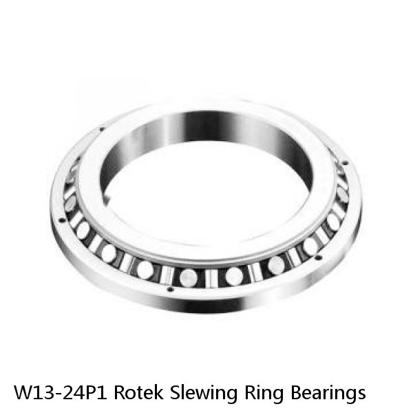 W13-24P1 Rotek Slewing Ring Bearings