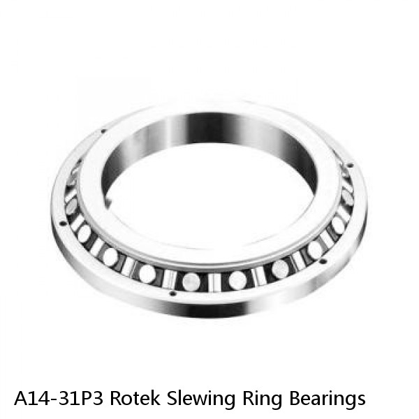 A14-31P3 Rotek Slewing Ring Bearings