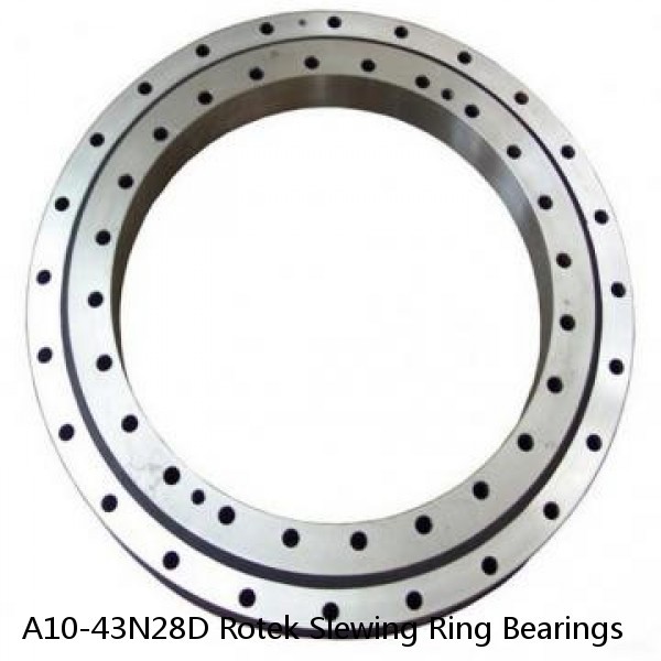 A10-43N28D Rotek Slewing Ring Bearings