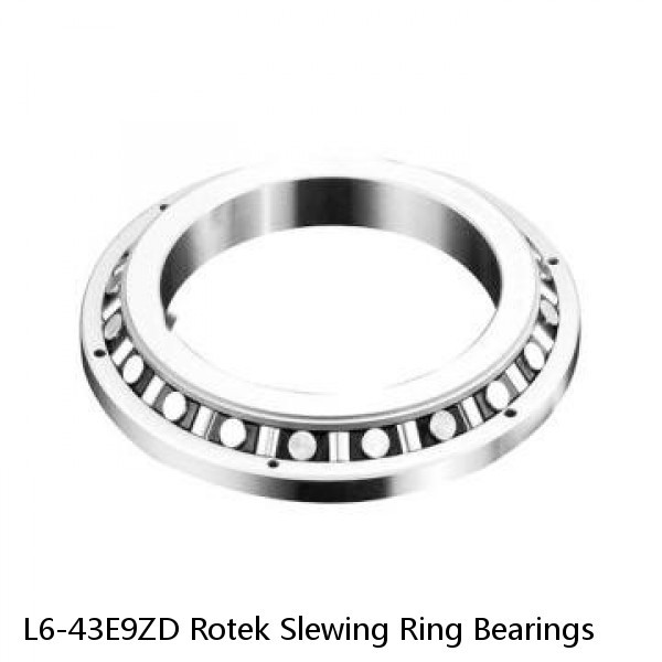 L6-43E9ZD Rotek Slewing Ring Bearings