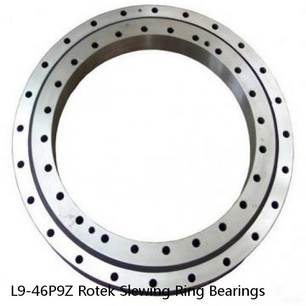 L9-46P9Z Rotek Slewing Ring Bearings