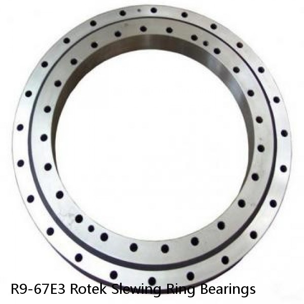 R9-67E3 Rotek Slewing Ring Bearings