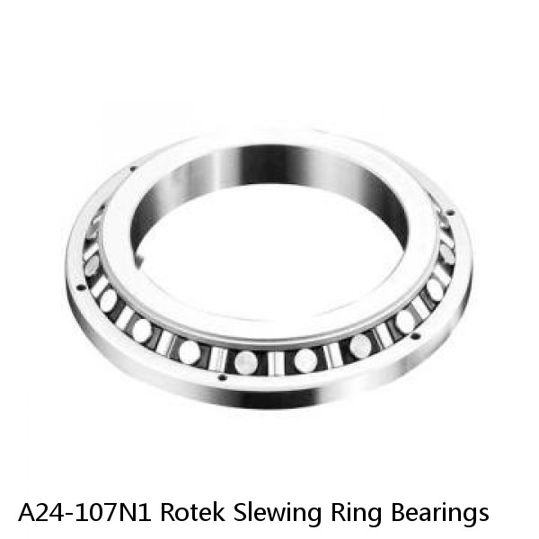 A24-107N1 Rotek Slewing Ring Bearings