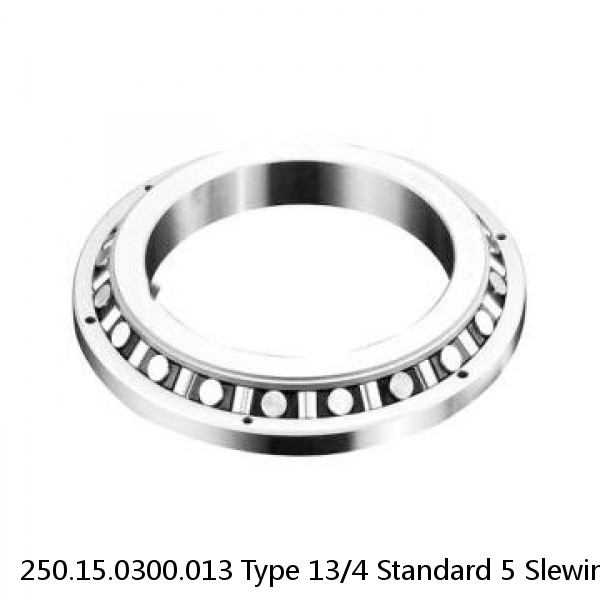 250.15.0300.013 Type 13/4 Standard 5 Slewing Ring Bearings