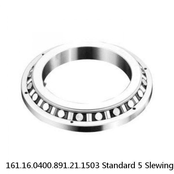 161.16.0400.891.21.1503 Standard 5 Slewing Ring Bearings